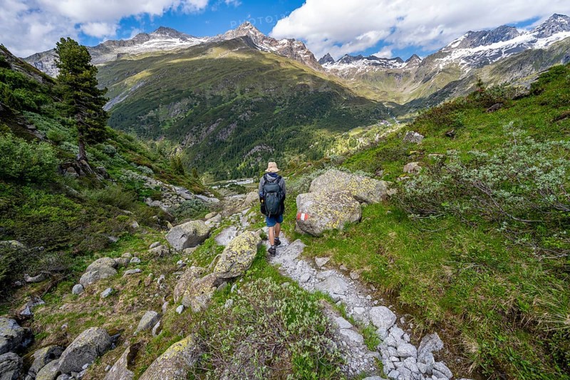 Mountaineers on a hiking trail in front of a picturesque mountain landscape, rocky mountain peaks with snow, valley Zemmgrund with Zemmbach, mountain panorama with summit Zsigmondyspitze and Grosser Moerchner, Berliner Hoehenweg, Zillertal Alps, Tyrol, Austria, Europe