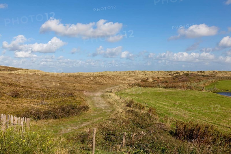 National Park Duinen van Texel, dunes of Texel, North Sea island of Texel, West Frisian island, province of North Holland, Netherlands
