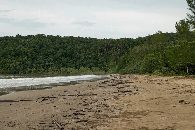 Bako national park, sea sandy beach, overcast, cloudy day, sky and sea. Vacation, travel, tropics concept, no people, Malaysia, Kuching, Asia