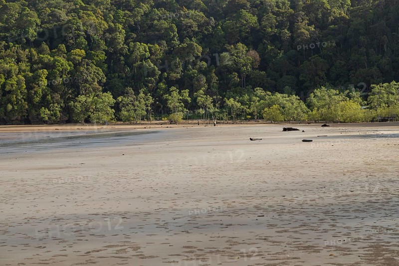 Bako national park, sea sandy beach, sunny day, blue sky and sea. Vacation, travel, tropics concept, no people, Malaysia, Kuching, Asia