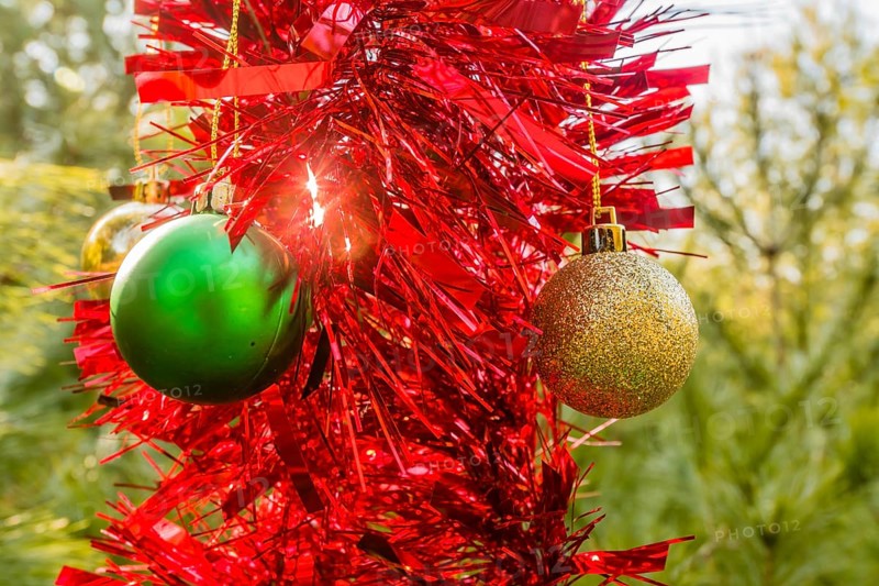 Green and gold Christmas ornaments and red tensile garland hanging on pine tree in local park in South Korea