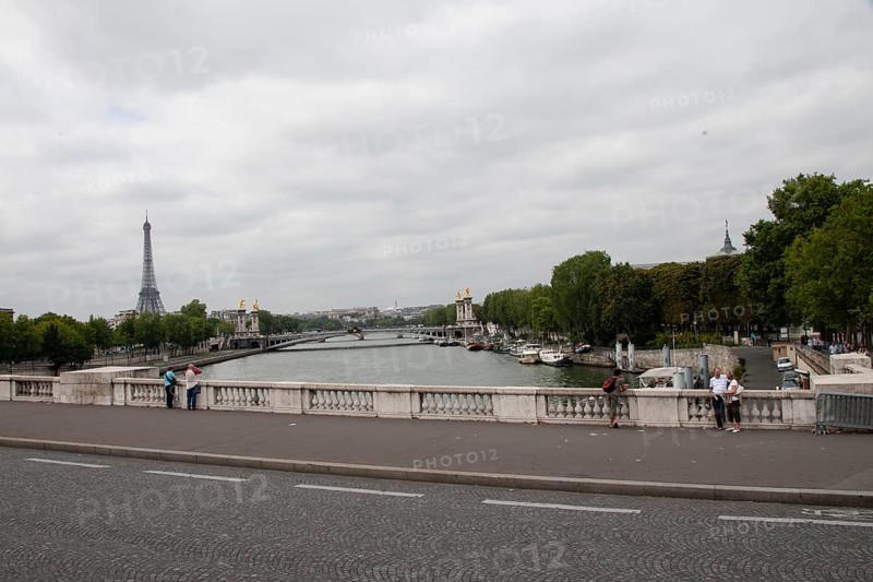 Seine Pont Alexandre III in the background Paris France