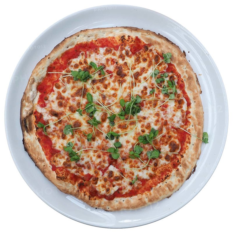 Margherita pizza baked food isolated over white