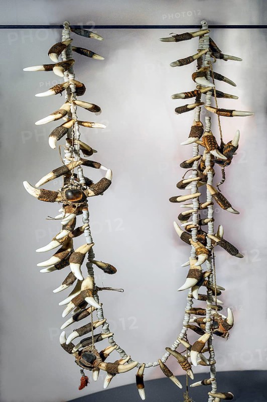 Necklace with crocodile teeth, South Sea collection, Obergünzburg, Allgäu, Bavaria, Germany, Europe
