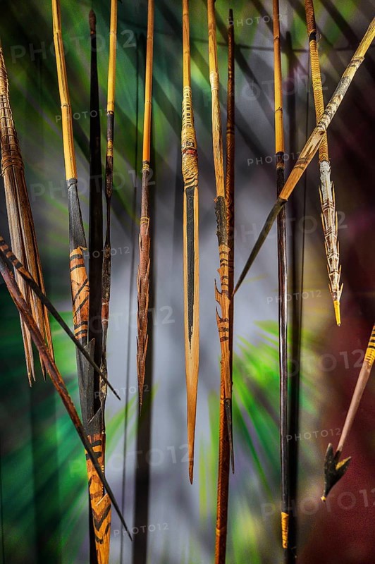 Spears and lances from the South Sea Collection, Obergünzburg, Allgäu, Bavaria, Germany, Europe
