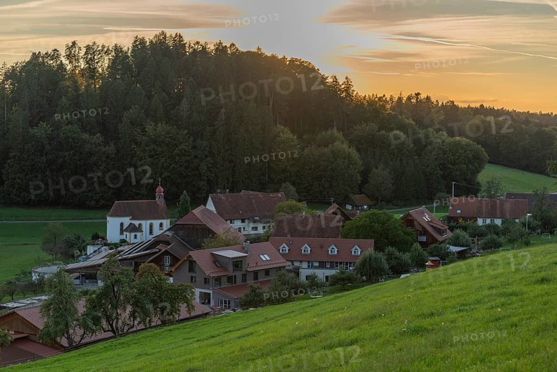 Kressbronn am Bodensee, district Nitzenweiler, Hofgut Schleinsee, chapel, forest, hill, sunset, Baden-Württemberg, Germany, Europe