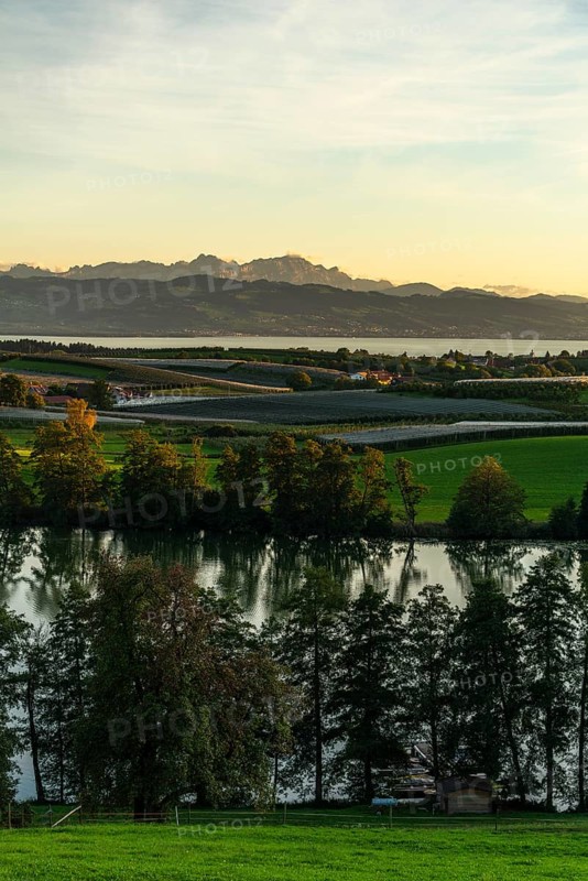 Kressbronn am Lake Constance, district Nitzenweiler, Schleinsee, water reflection, fruit cultivation, alpine view, row of trees, evening mood, Baden-Württemberg, Germany, Europe