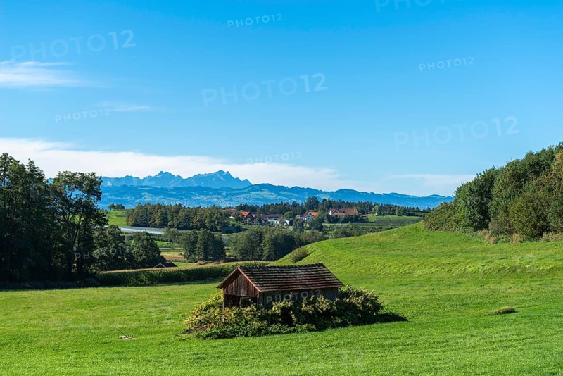 Hilly landscape near Kressbronn on Lake Constance, village, wooden hut, pasture, view of the Alps, Baden-Württemberg, Germany, Europe