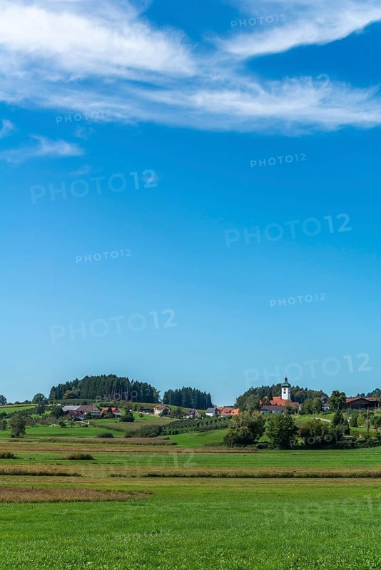 Lindau am Lake Constance, district Unterreitnau, parish church with onion dome, fields, forest, Bavaria, Germany, Europe