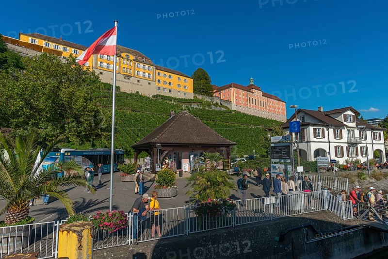 Meersburg on Lake Constance, state winery, tourists, vineyard, landing stage, Droste-Hülshoff-Gymnasium, Baden-Württemberg, Germany, Europe