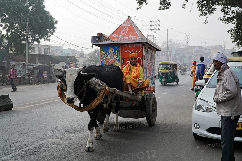 Prophet, Sadhu, on the road, Agra, Uttar Pradesh, India, Asia