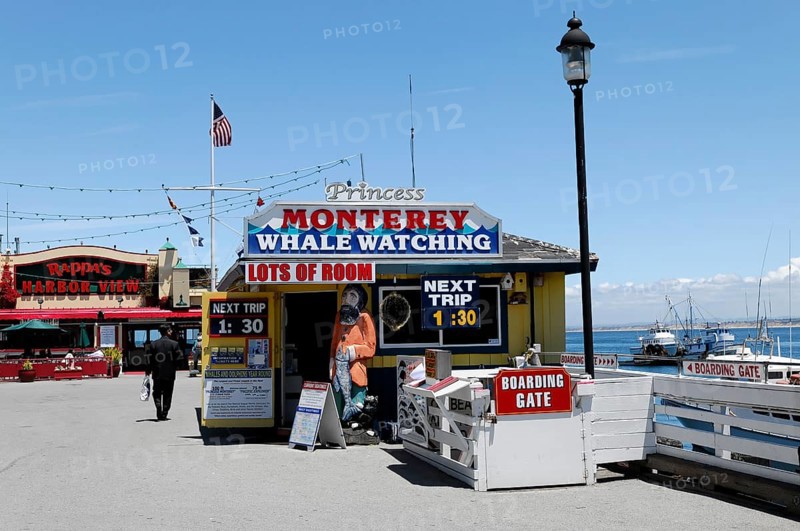 Whale watching, ticket sales, Monterey, Pacific Ocean, California, USA, North America