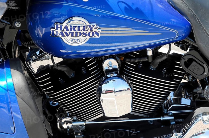 Detail, HARLEY DAVIDSON, Grand Canyon National Park, Colorado Plateaus, Arizona, America, USA, North America