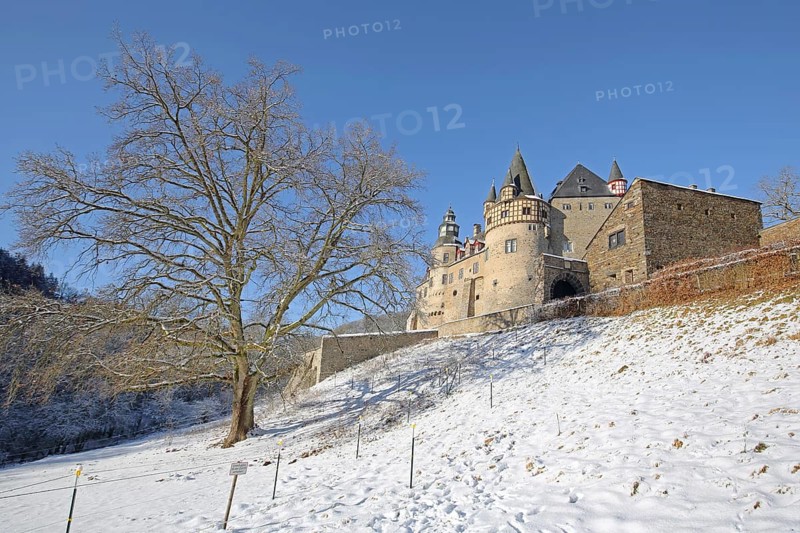 Bürresheim Castle with winter landscape, tree and snow, Mayen, Vulkaneifel, Eifel, Rhineland-Palatinate, Germany, Europe