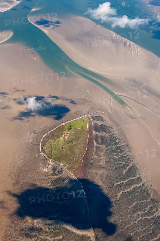 Hallig Südfall, biotope, groyne, tide, low tide, tides, house, Hallig, coastal protection, landscape, aerial view, North Sea, coast, sea, North Frisian Islands, North Frisian Wadden Sea, North Frisia, mudflats, Wadden Sea, tidal flat, UNESCO World Heritage Site, Schleswig-Holstein, Germany, Europe