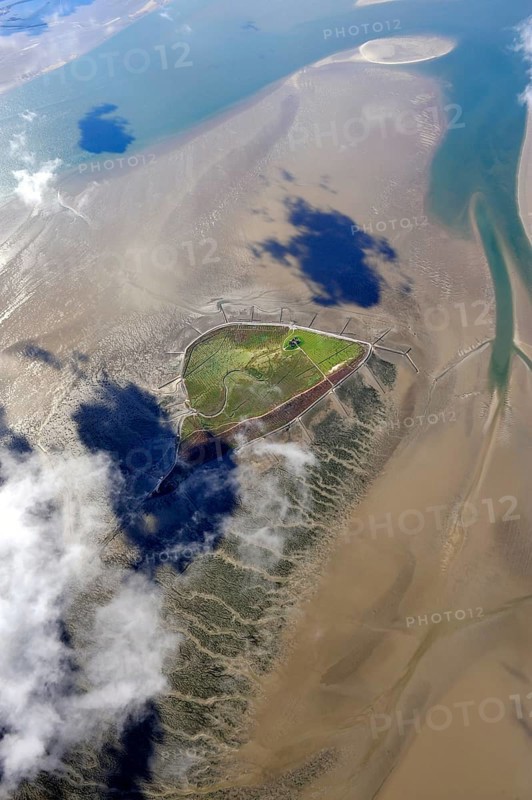 Hallig Südfall, biotope, groyne, tide, low tide, tides, house, Hallig, coastal protection, landscape, aerial view, North Sea, coast, sea, North Frisian Islands, North Frisian Wadden Sea, North Frisia, mudflats, Wadden Sea, tidal flat, UNESCO World Heritage Site, Schleswig-Holstein, Germany, Europe