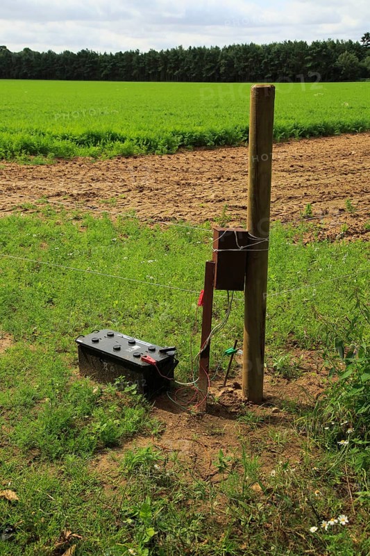 Electric fence protecting carrot crop, Sutton, Suffolk, England, UK