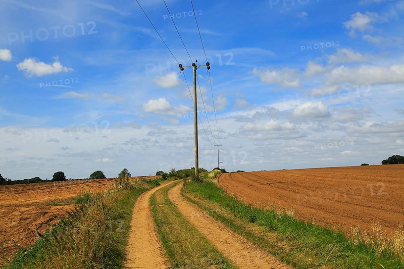 Rural electricity supply lines running across countryside, Alderton, Suffolk, England, United Kingdom, Europe