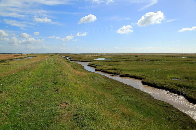 River Ore salt marsh coastal landscape, Hollesley, Suffolk, England, UK