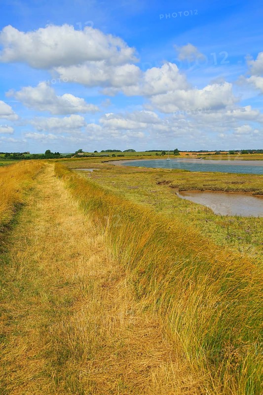 Butley Creek river landscape, Boyton, Suffolk, England, UK footpath on flood defence bank wall