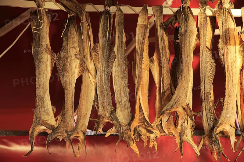 Dried cod hanging in fish market Torget market square area of Vagen harbour, Bergen, Norway, Europe