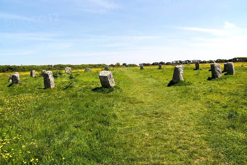 The Merry Maidens prehistoric stone circle, St Buryan, Cornwall, England, UK