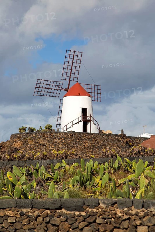 Windmill at Jardin de Cactus designed by César Manrique, Guatiza, Lanzarote, Canary Islands, Spain, Europe