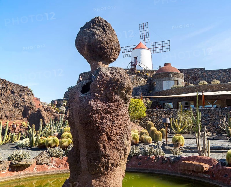 Cactus plants and windmill Jardin de Cactus designed by César Manrique, Guatiza, Lanzarote, Canary Islands, Spain, Europe