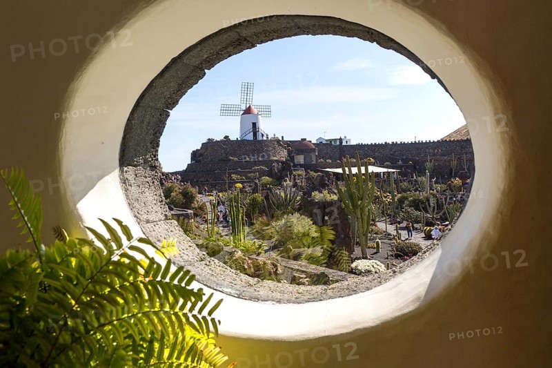 Cactus plants inside Jardin de Cactus designed by César Manrique, Guatiza, Lanzarote, Canary Islands, Spain, Europe