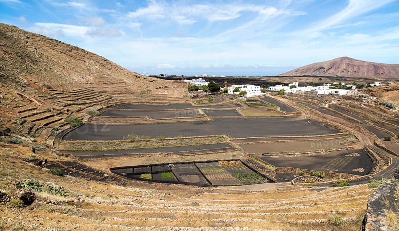 Volcano crater and black volcanic soil farmland, near Tinajo, Lanzarote, Canary Islands, Spain, Europe