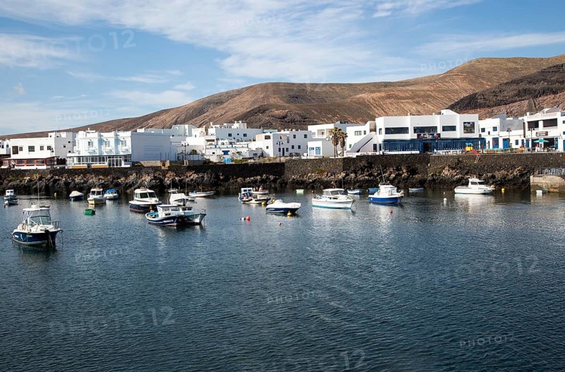 Harbour and white houses in the fishing village of Orzola, Lanzarote, Canary Islands, Spain, Europe