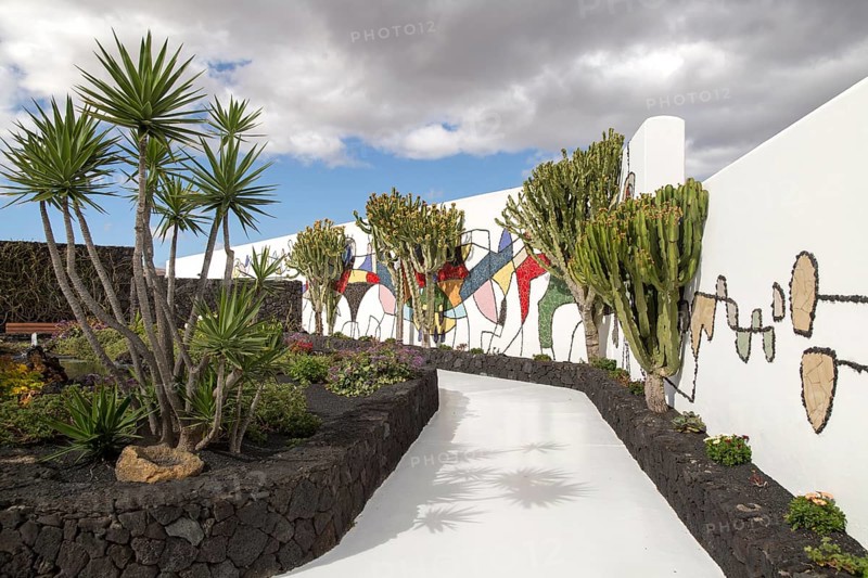 Mosaic in cactus garden Fundación César Manrique, Taro de Tahíche, Lanzarote, Canary islands, Spain, Europe