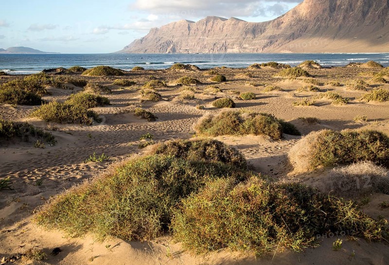 Late afternoon light on beach and cliffs La Caleta de Famara, Lanzarote, Canary islands, Spain, Europe