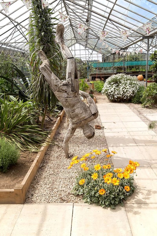 Inside large glasshouse, Potager Garden, Constantine, Cornwall, England, UK
