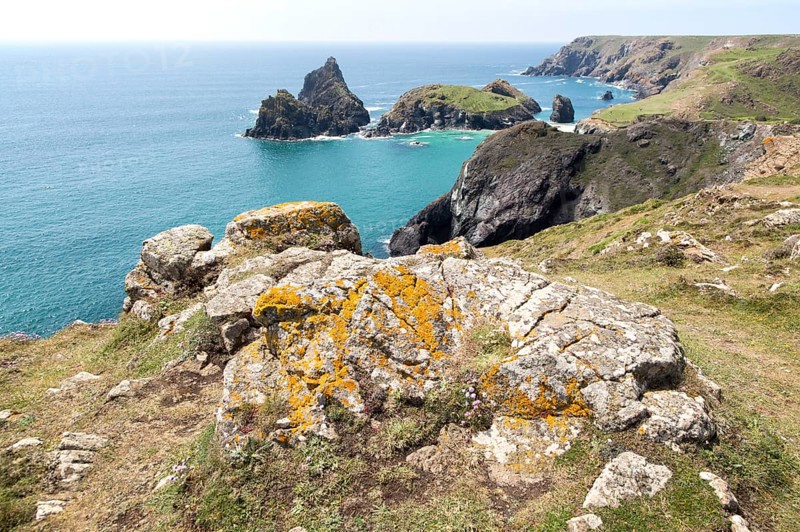 Coastal scenery, Kynance Cove, Lizard peninsula, Cornwall, England, UK, Gull Rock and The Bishop