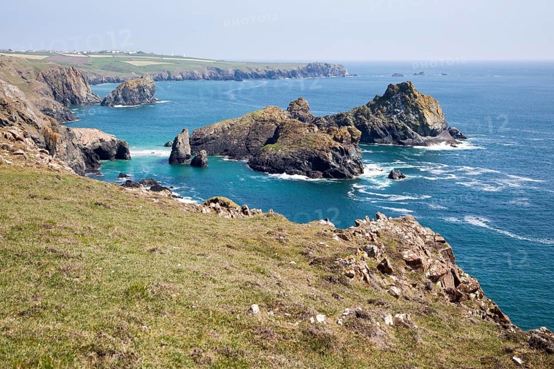 Coastal scenery, near Kynance Cove, Lizard peninsula, Cornwall, England, UK, Gull Rock and The Bishop