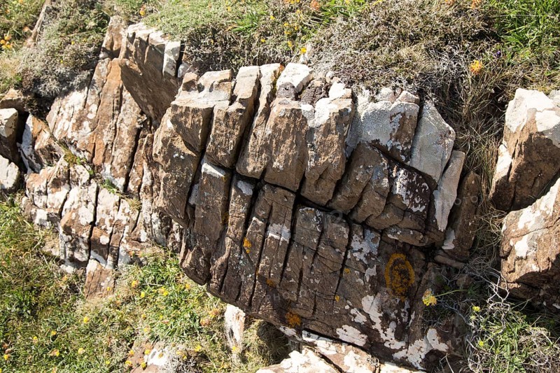 Joints in rock enlarged by weathering processes, Lizard peninsula, Cornwall, England, UK