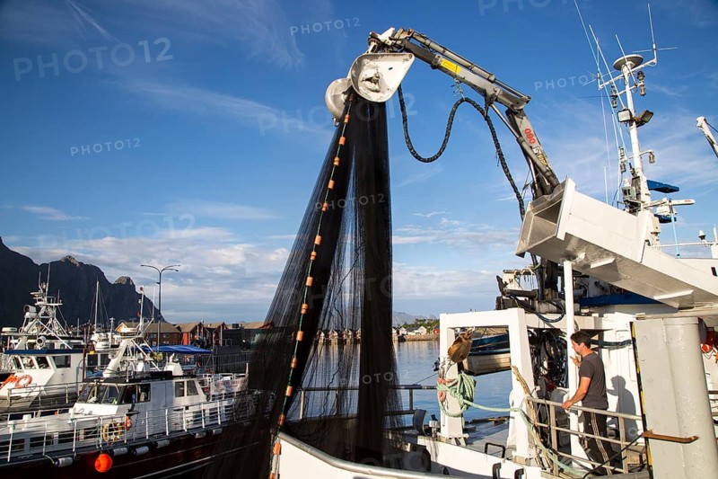 Fishing boats in the harbour at Svolvaer, Lofoten Islands, Nordland, Norway, Europe