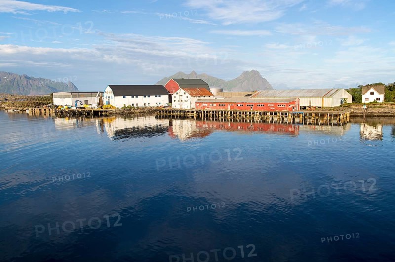 Fish processing buildings at Svolvaer, Lofoten Islands, Nordland, Norway, Europe