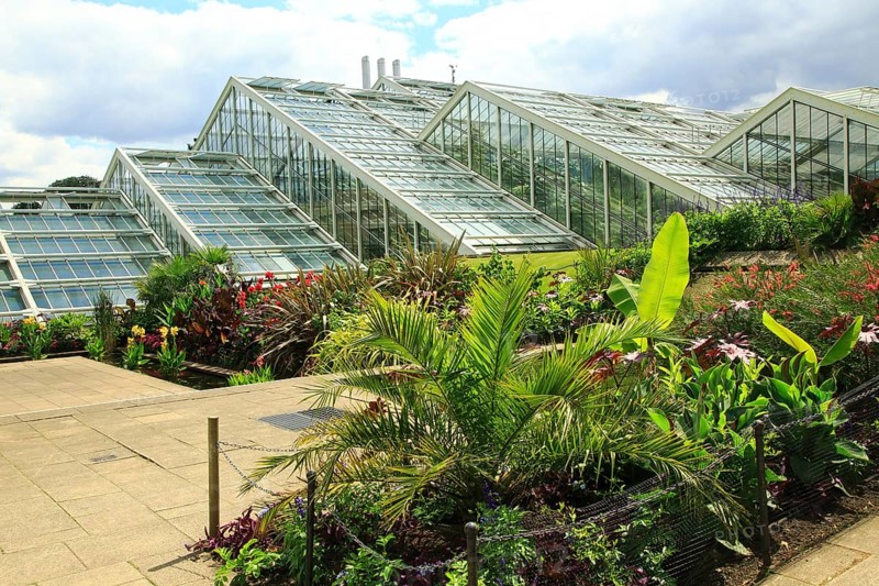Princess of Wales conservatory glasshouses, Kew Gardens, Royal Botanic Gardens, London, England, UK
