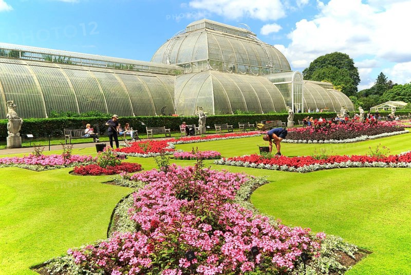 The Palm House at Royal Botanic Gardens, Kew, London, England, UK