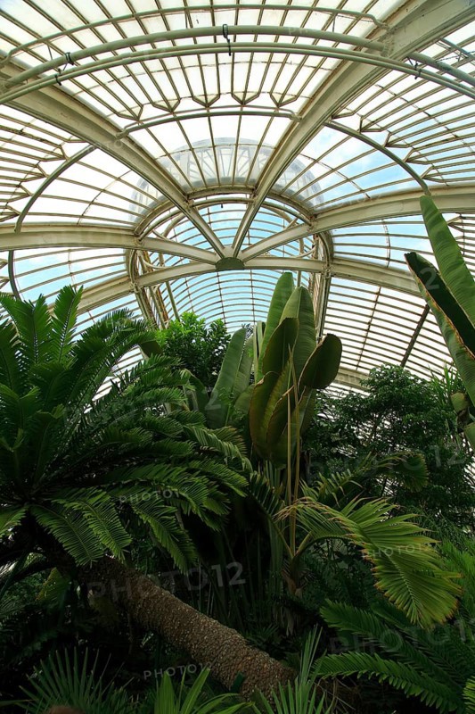 Inside The Palm House at Royal Botanic Gardens, Kew, London, England, UK