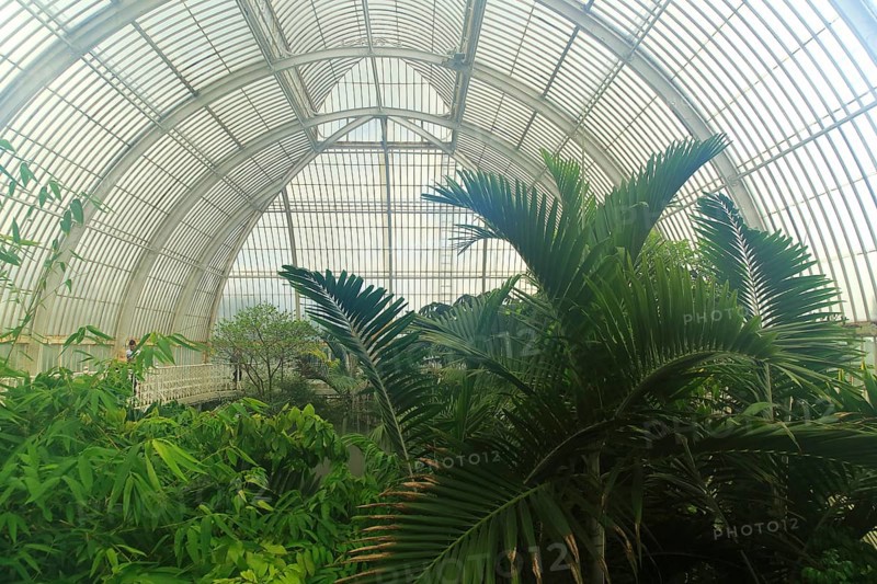 Inside The Palm House at Royal Botanic Gardens, Kew, London, England, UK