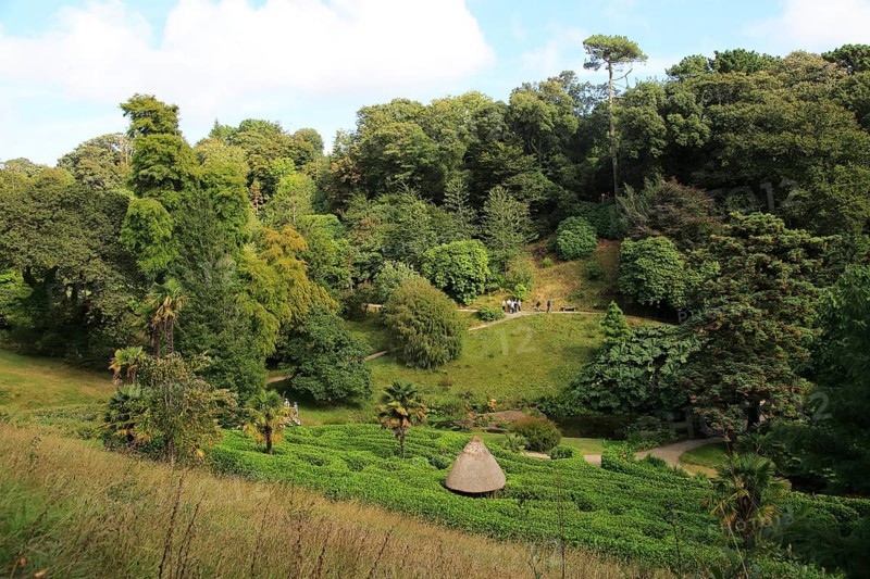 Maze in foreground at Glendurgan Garden, Cornwall, England, UK