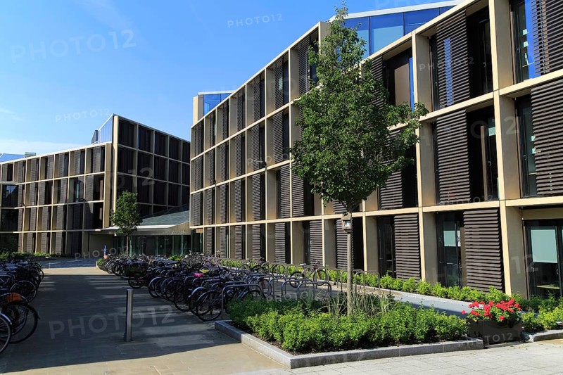 Modern buildings in the Radcliffe Observatory Quarter area, University of Oxford, England, UK