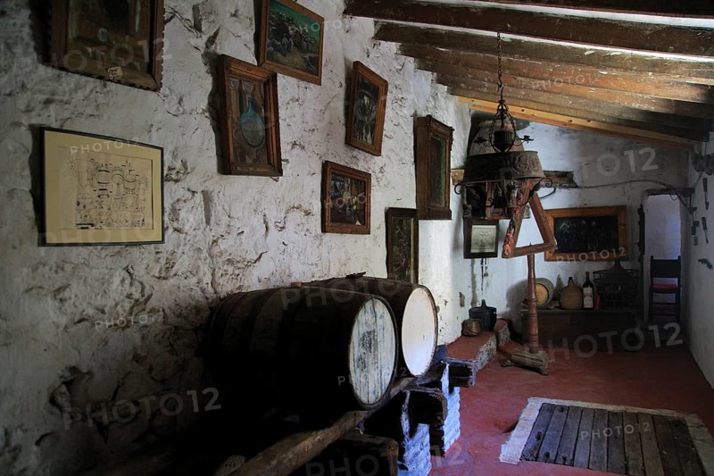 Bodega Museo Maserof restaurant vineyard, near Xalo or Jalon, Marina Alta, Alicante province, Spain, Europe