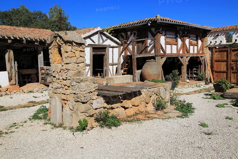 Bodega Museo Maserof restaurant vineyard, near Xalo or Jalon, Marina Alta, Alicante province, Spain, Europe