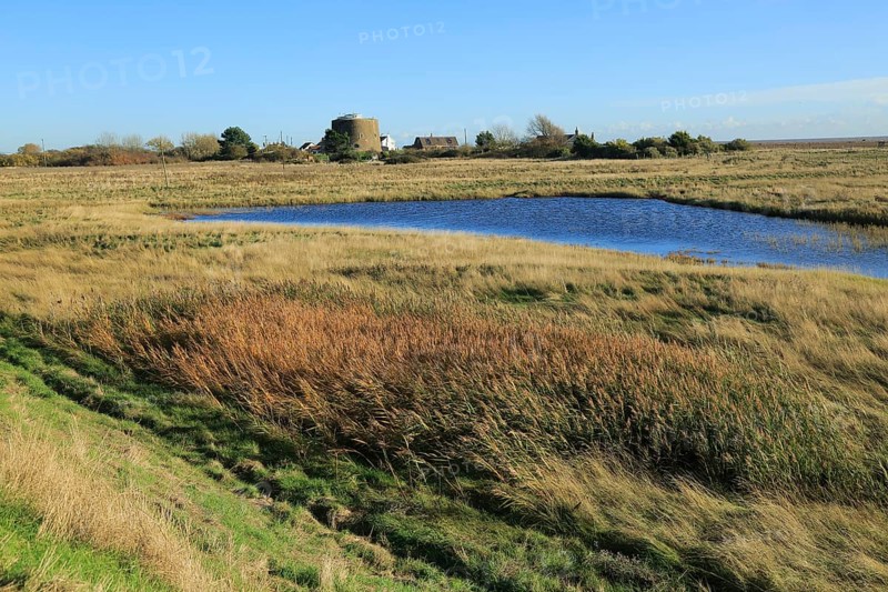 Pools of water between shingle beach and flood defence wall, Shingle Street, Suffolk, England, UK