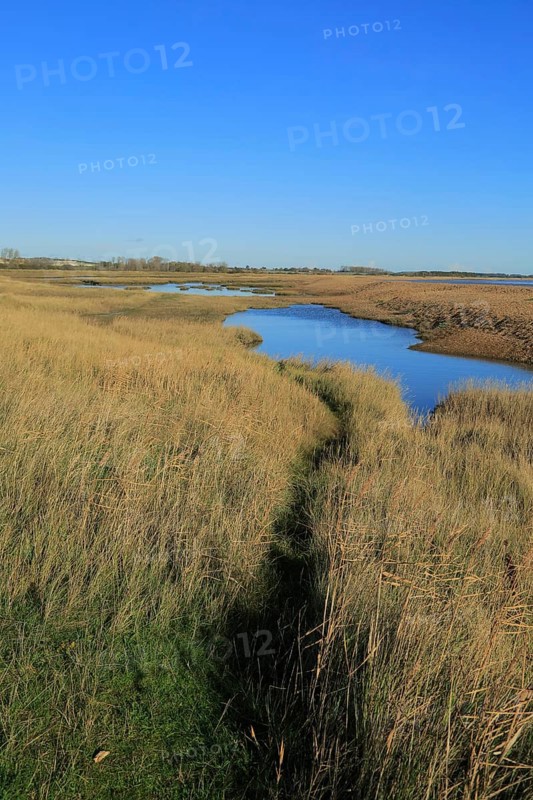 Pools of water behind shingle beach of River Ore, Orford Ness spit to the extreme right, near Shingle Street, Suffolk, England, UK