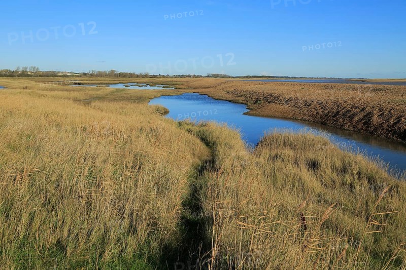 Pools of water behind shingle beach of River Ore, Orford Ness spit to the extreme right, near Shingle Street, Suffolk, England, UK